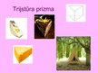 Prezentācija 'Sadzīvē sastopamās prizmas', 3.