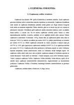 Prakses atskaite 'Uzņēmuma "Celtniecības pasaule" attīstības plāna pilnveidošana', 9.