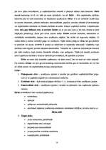 Prakses atskaite 'Uzņēmuma "Celtniecības pasaule" attīstības plāna pilnveidošana', 18.