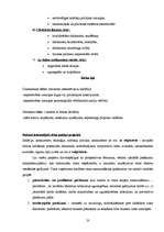 Prakses atskaite 'Uzņēmuma "Celtniecības pasaule" attīstības plāna pilnveidošana', 20.