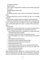 Prakses atskaite 'Uzņēmuma "Celtniecības pasaule" attīstības plāna pilnveidošana', 41.