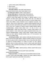 Prakses atskaite 'Uzņēmuma "Celtniecības pasaule" attīstības plāna pilnveidošana', 48.