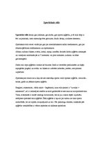 Referāts 'Sportiskais stils', 8.