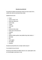 Referāts 'Sportiskais stils', 9.