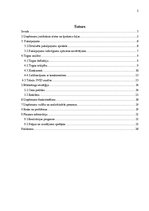 Biznesa plāns 'Biznesa plāna izstrāde jauna uzņēmuma SIA "X" dibināšanai', 2.