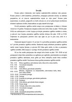 Biznesa plāns 'Biznesa plāna izstrāde jauna uzņēmuma SIA "X" dibināšanai', 3.