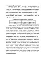 Biznesa plāns 'Biznesa plāna izstrāde jauna uzņēmuma SIA "X" dibināšanai', 7.