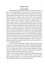 Biznesa plāns 'Biznesa plāna izstrāde jauna uzņēmuma SIA "X" dibināšanai', 8.