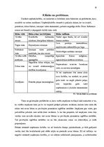 Biznesa plāns 'Biznesa plāna izstrāde jauna uzņēmuma SIA "X" dibināšanai', 19.