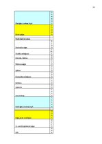 Biznesa plāns 'Biznesa plāna izstrāde jauna uzņēmuma SIA "X" dibināšanai', 22.