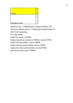 Biznesa plāns 'Biznesa plāna izstrāde jauna uzņēmuma SIA "X" dibināšanai', 23.