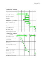 Biznesa plāns 'Biznesa plāna izstrāde jauna uzņēmuma SIA "X" dibināšanai', 27.