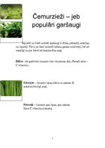 Referāts 'Čemurziežu dzimta', 5.