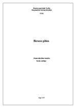 Biznesa plāns 'Biznesa plāns', 1.