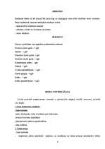 Biznesa plāns 'Biznesa plāns', 6.