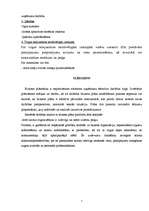 Biznesa plāns 'Biznesa plāns', 7.