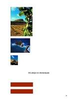 Referāts 'Maltas un Latvijas atiecības', 25.