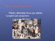 Prezentācija 'Viduslaiku pilsēta', 8.