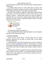 Referāts 'Interneta mārketings Latvijas tūrismā', 7.