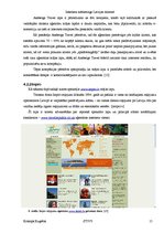Referāts 'Interneta mārketings Latvijas tūrismā', 15.