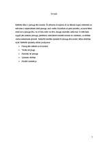 Referāts 'Paraugtēla nozīme', 3.