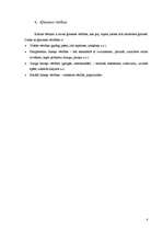 Referāts 'Paraugtēla nozīme', 8.