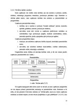 Referāts 'Konkurences priekšrocības un konkurētspējas analīze sporta klubā "Reaktors"', 16.