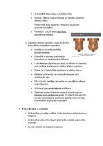 Konspekts 'Fizioloģiskās pārmaiņas grūtniecības laikā', 6.