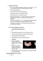 Konspekts 'Fizioloģiskās pārmaiņas grūtniecības laikā', 13.