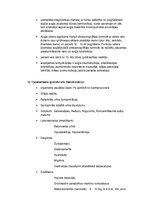 Konspekts 'Fizioloģiskās pārmaiņas grūtniecības laikā', 15.