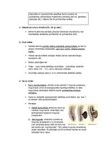 Konspekts 'Fizioloģiskās pārmaiņas grūtniecības laikā', 18.