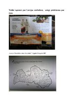 Prezentācija 'Eksāmena darbs sociālajās zinībās', 3.