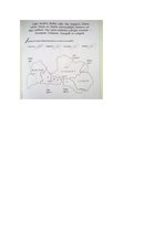 Prezentācija 'Eksāmena darbs sociālajās zinībās', 5.