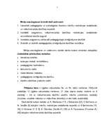 Diplomdarbs 'Mākslinieciskās darbības motivācijas veidošanās pamatskolā', 5.