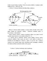 Diplomdarbs 'Mākslinieciskās darbības motivācijas veidošanās pamatskolā', 8.
