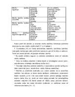 Diplomdarbs 'Mākslinieciskās darbības motivācijas veidošanās pamatskolā', 23.