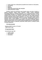 Konspekts 'Ventspils A/S „Venceb” struktūras izpēte', 4.