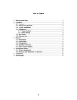 Biznesa plāns 'International Business Analysis - Swatch', 2.