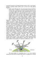 Referāts 'Interneta rīku izmantošanas iespējas pārvadājumu organizēšanas optimizāc', 22.