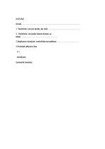 Referāts 'Vardarbības problēmas skolā', 28.