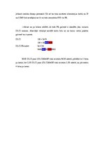 Paraugs 'Iepazīšanās ar protokoliem', 13.