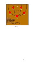 Referāts 'Michael Jordan', 20.