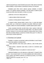 Diplomdarbs 'Finanšu vadības loma uzņēmumā', 17.