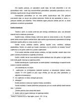 Diplomdarbs 'Finanšu vadības loma uzņēmumā', 19.