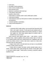 Diplomdarbs 'Finanšu vadības loma uzņēmumā', 20.