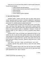 Diplomdarbs 'Finanšu vadības loma uzņēmumā', 44.