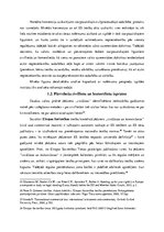 Referāts 'Tiesas nolēmu raksturojums', 9.