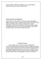 Referāts 'Dienvidamerika', 10.