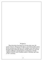 Referāts 'Dienvidamerika', 11.