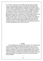 Referāts 'Dienvidamerika', 14.